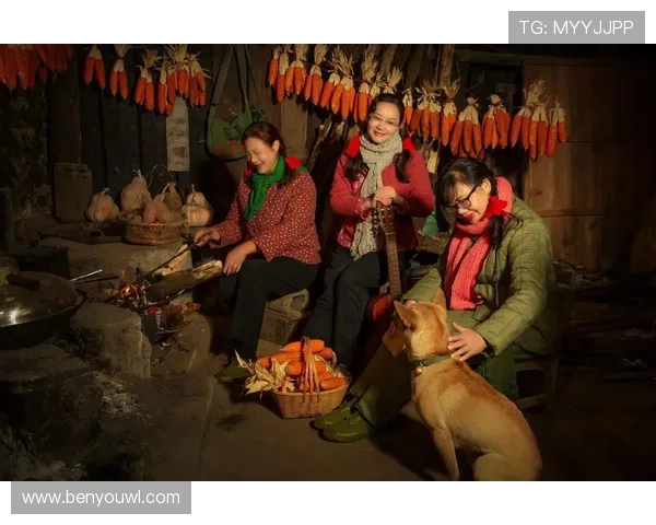 京腔胡同里的烟火人生：一部老北京大杂院的电视剧